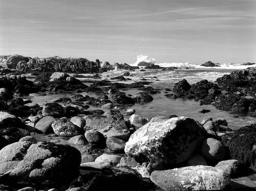 Photography-Landscape-Surf , tidepools, Asilomar  beach near Monterey, California r08-0214d-43