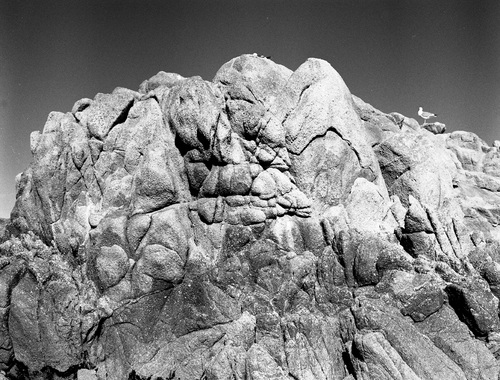 Photography-Nature-Rock mass , gull, Asliomar  r08-0214d-55