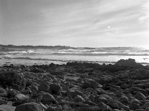 Photography-Landscape-Surf, Spanish Bay, near Pacific Grove, California r08-0214g-41