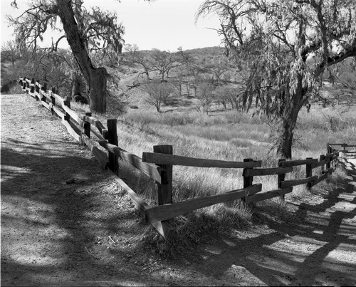 Photography-Landscape-Paths and oaks, Pinnacles National Monument, California r08-0215a-50