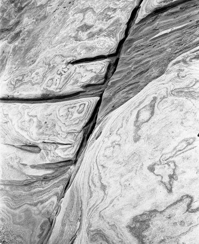 Photography-Nature-Detail, Weston Beach, Point Lobos, California r08-0217a-47