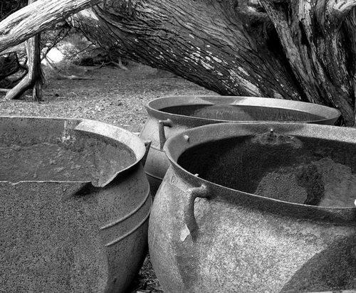 Photography-Landscape-Cauldrons, Whalers' Cove, Point Lobos, California r08-0217f-47