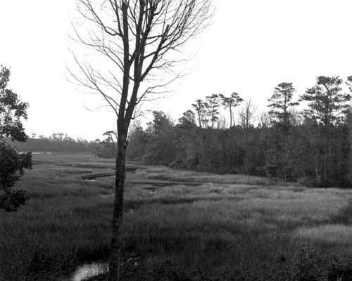 Photography-Landscape-r09-0205b Salt marsh at dawn, near Hampstead, North Carolina
