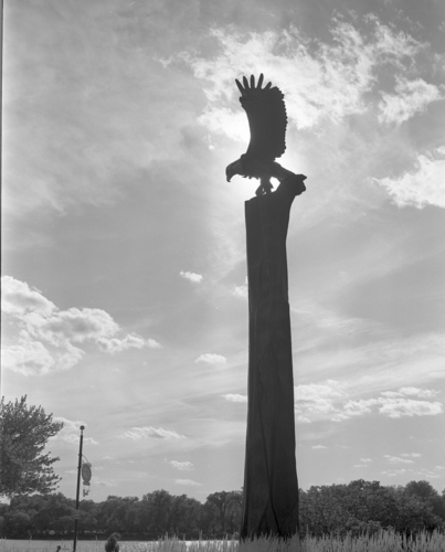 Photography-r09-0818-55 La Crosse Eagle