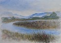 Marshland (thumbnail)