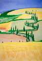 Hills of Tuscany