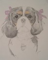 Ellie (thumbnail)