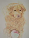 Buddy (thumbnail)
