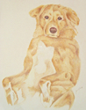 Buddy%20Sitting (thumbnail)