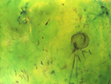 Green%20Balloon (thumbnail)