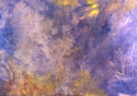 Reproduction (thumbnail)