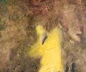 Yellow%20Dog (thumbnail)