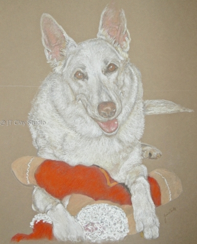 Pet Portraits