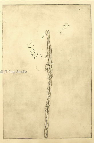 Untitled (large view)