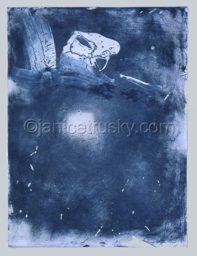 Skull%20Print (large view)