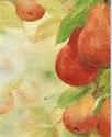 Painting--Oil-BotanicalPEARS-ORANGE-GREEN