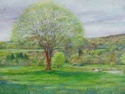 Painting--Oil-LandscapeSPRING