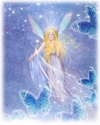 BLUE NOCTURNE FAIRY BUTTERFLY