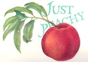 Painting--Watercolor-BotanicalJUST PEACHY