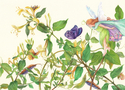 Print Making--Limited Edition-Figurativefairy-vines 