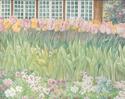 Judith Cheng - Westbury Garden's Tulip