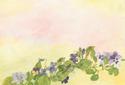 Painting--Oil-Floraldragonfly-pansy
