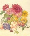Painting--Watercolor-Still Lifeharvest