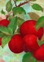 Painting--Oilapples-red-green