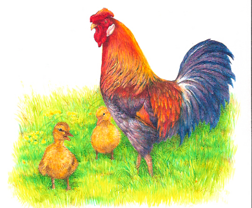 Painting-Animals-CHUCKLING-ROOSTER