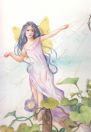 Painting-Fantasy-fairy-morning glory