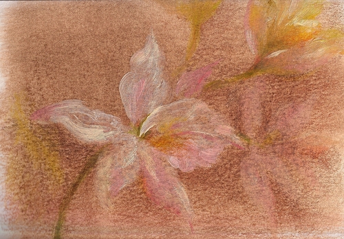 Drawing-Botanical-orchid study