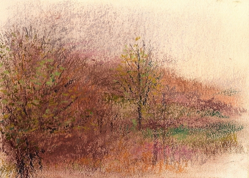 Drawing-Landscape-winter greens