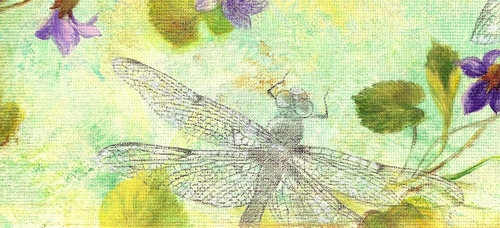 Drawing-Botanical-DRAGONFLY