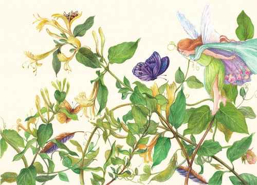 Print Making-Figurative-fairy-vines 