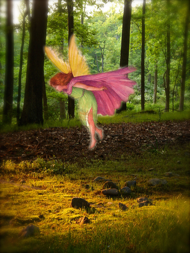 Print Making-Spiritual-MAGICAL WOODLAND