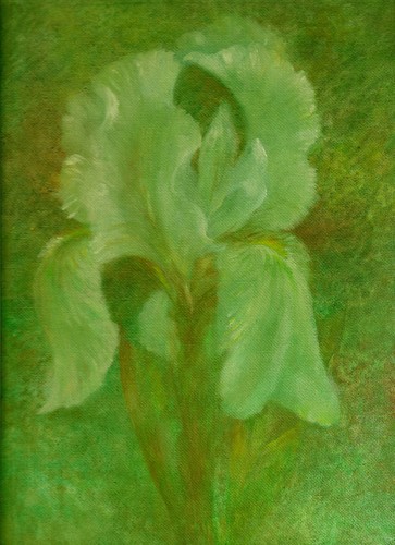 Painting-Floral-early iris