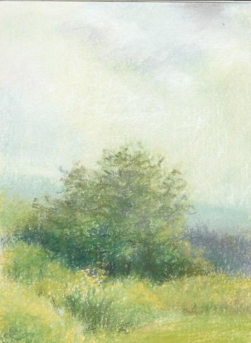 Drawing-Landscape-garden sketch