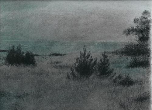Drawing-Landscape-sea ranch,CA