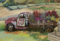 Judi Harrison - Flower Bed