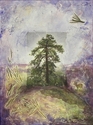 Majesty (thumbnail)