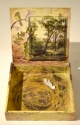 Nesting%20Box (thumbnail)