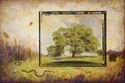 Meditations%20%28Tree%20Story%20%2378%29 (thumbnail)