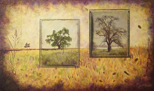 Ghost%20%28Tree%20Story%20%2392%29 (thumbnail)