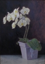 Judy White - Reaching for the Light