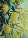 Painting--Oil-BotanicalLovely Lemon Tree