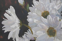 Daisy%20Days (thumbnail)
