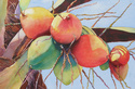 Locococonuts (thumbnail)