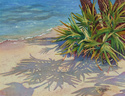 Palmetto%20Shadows (thumbnail)