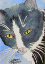 Pablo (thumbnail)