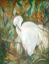 Egret%20Preening (thumbnail)